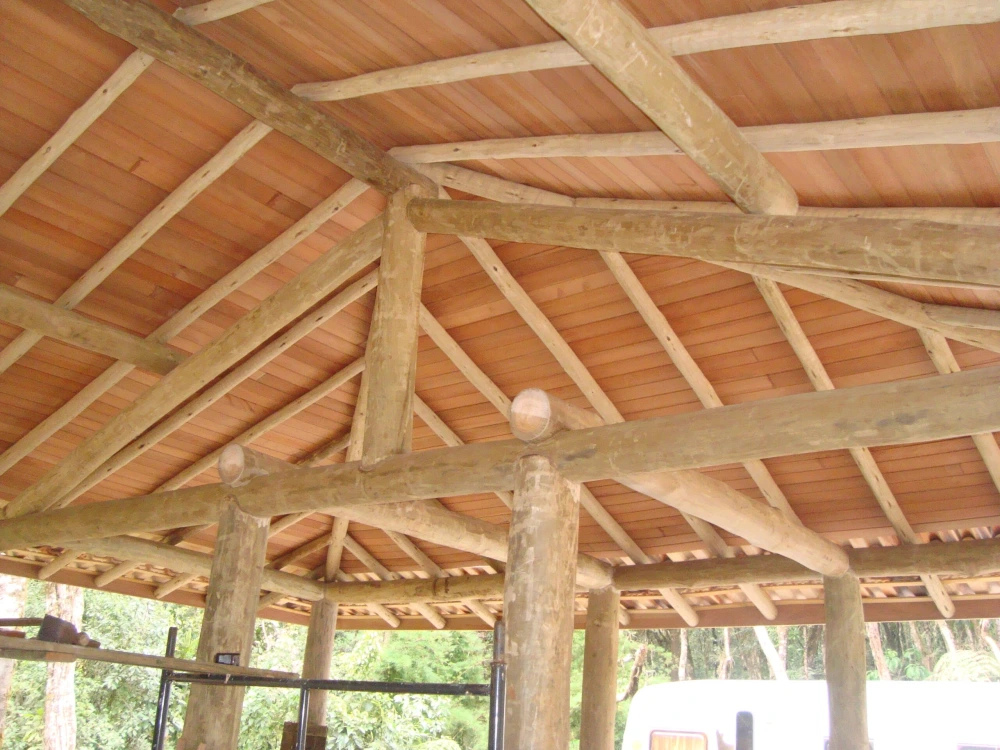 Estrutura E Telhado Em Eucalipto Tratado É Mais Barato?